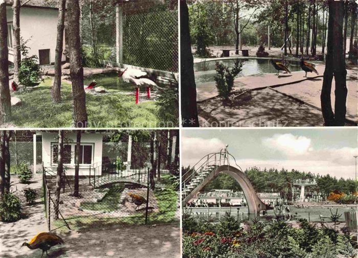 Viernheim Im Vogelpark und Schwimmbad