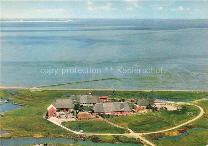 Hallig Langeness Nordfriesland Schleswig-Holstein Maienswarft im Hintergrund Nor
