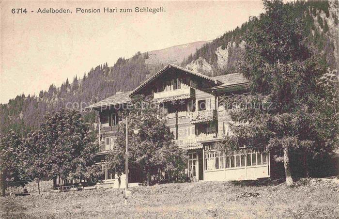 Adelboden Frutigen BE Pension Hari zum Schlegeli