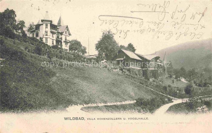 WILDBAD  Bad Schwarzwald BW Villa Hohenzollern und Vogelhalle