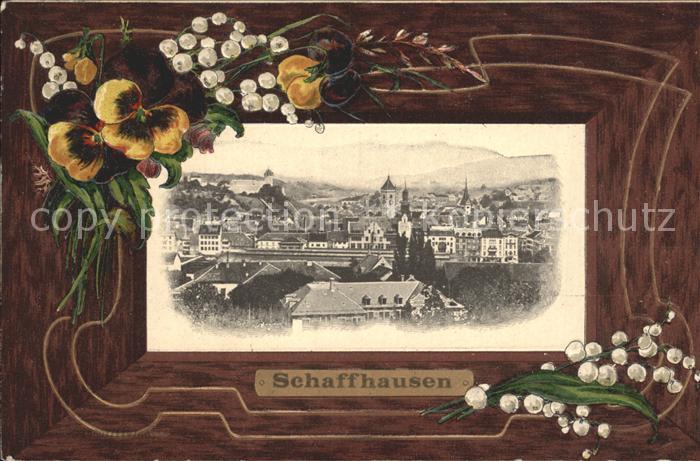 Schaffhausen Kanton Stadtansicht