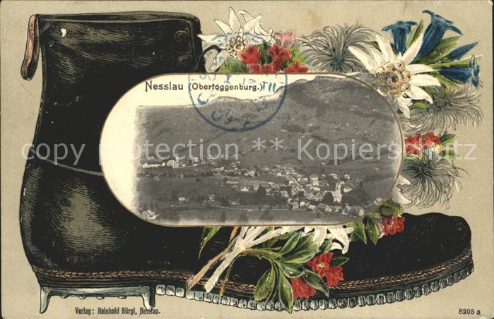 Nesslau Totalansicht