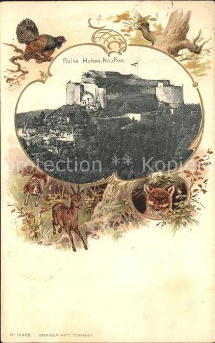 Neuffen Ruine Hohen- Neuffen