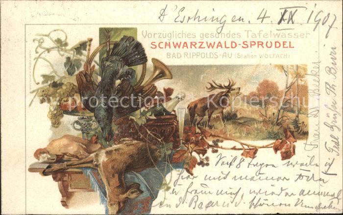Bad Rippoldsau Schwarzwald Schwarzwald- Sprudel
