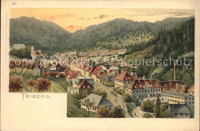Triberg Schwarzwald Dorfansicht