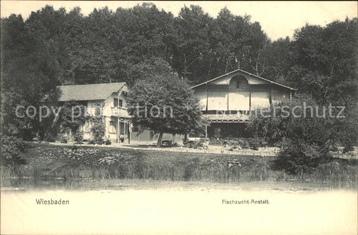 Wiesbaden Fischzucht- Anstalt