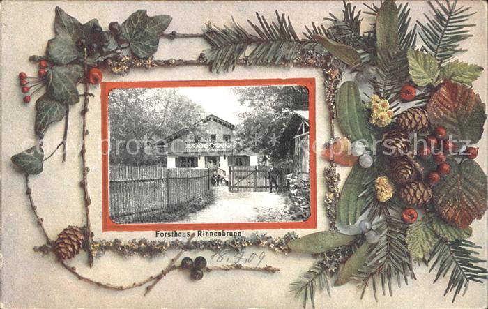 Neuhaus Pegnitz Forsthaus Rinnenbrunn