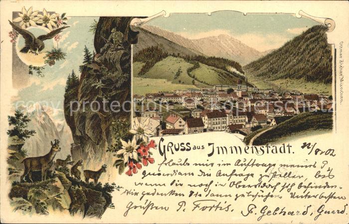 Immenstadt Allgaeu Adler Gemse Edelweiss Litho