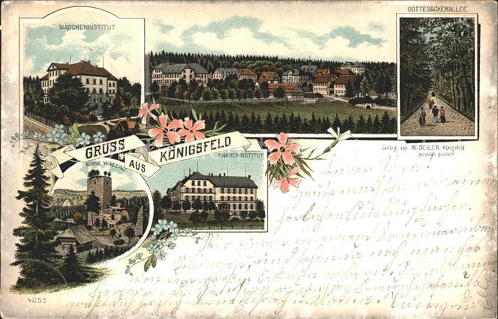 Koenigsfeld Schwarzwald Maedcheninstitut Knabeninstitut Gottesackerallee Litho