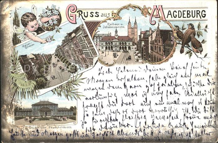 Magdeburg Kaiserstrasse Grusan'sche Gewaechshaeuser Rathaus Litho