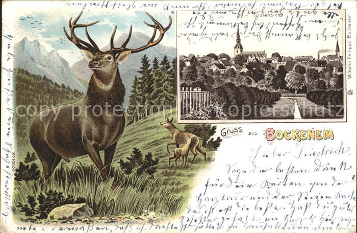 Bockenem Hirsch Litho