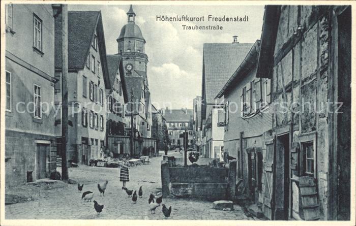 FREUDENSTADT BW Traubenstrasse