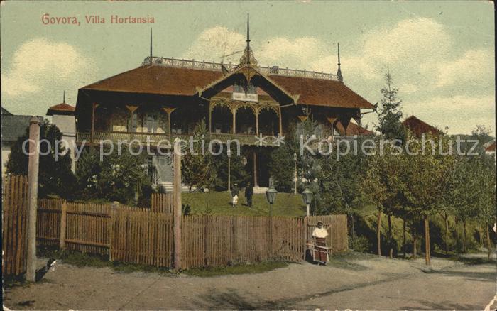 Govora Villa Hortansia