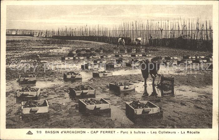 Cap-Ferret Lege-Cap-Ferret 33 Gironde Bassin Aarcachon Parc huitres Colleteurs R