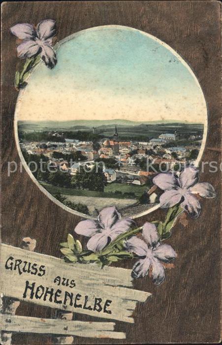 Hohenelbe CZ Ortsansicht Blume