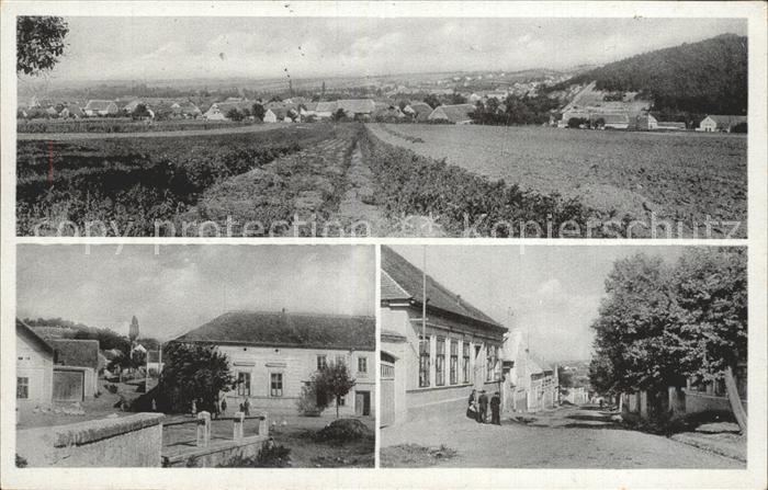 Stradonice Stradonitz Teilansichten Gebaeude