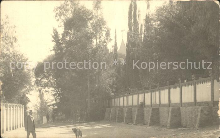 Windhuk Strassenmotiv Hund