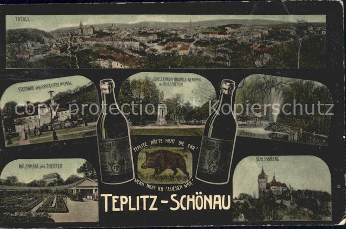 Teplitz-Schoenau Teplice Steinbad Kriegerdenkmal Quellenauffindungs Denkmal Kurg