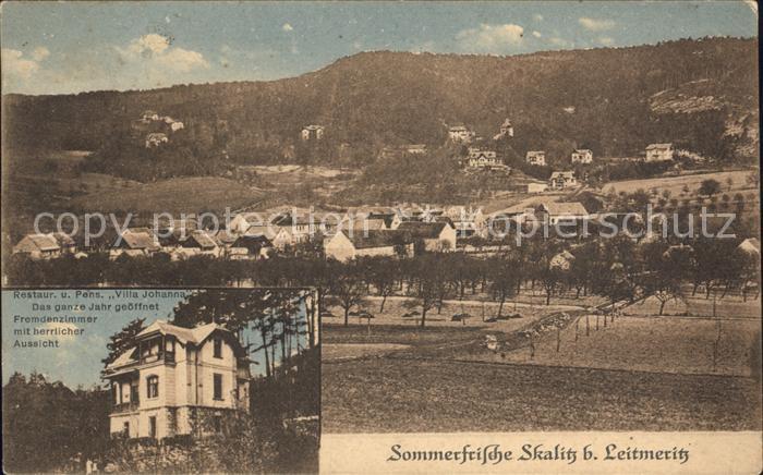 Skalitz Leitmeritz Restaurant Villa Johanna