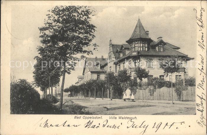 Bad Oppelsdorf Opolno Zdroj Villa Waldesruh