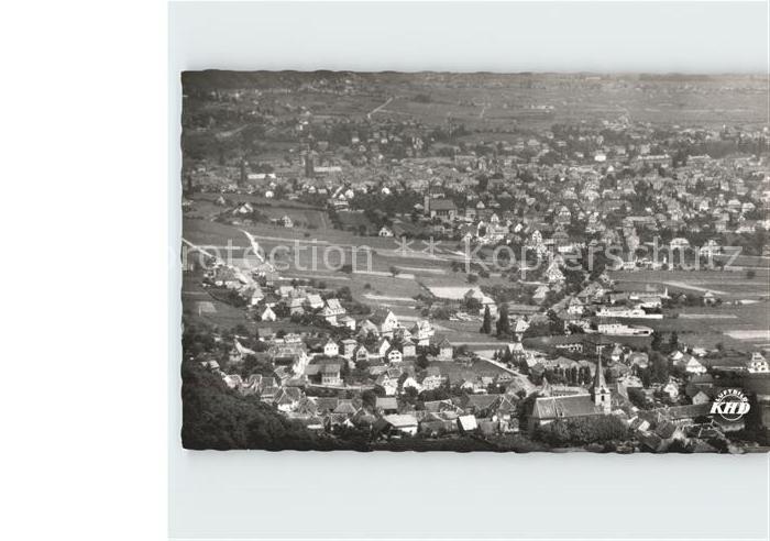 Neustadt Weinstrasse Fliegeraufnahme