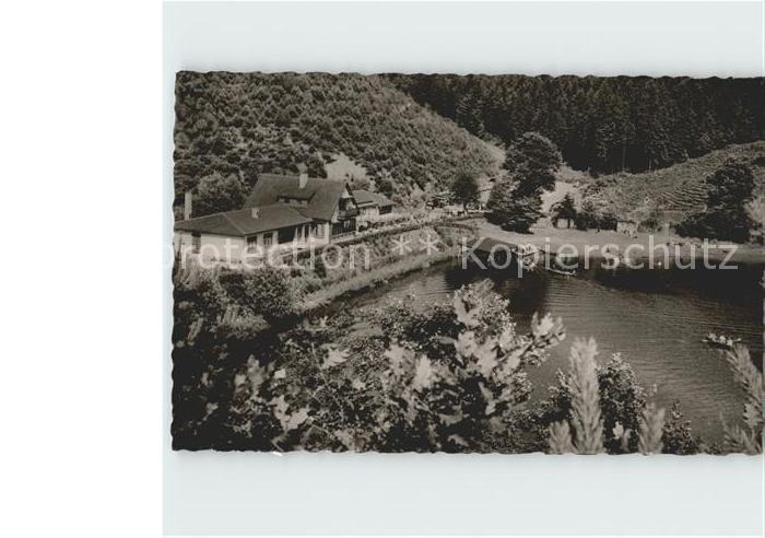 Ramsen Pfalz Gasthof Forelle