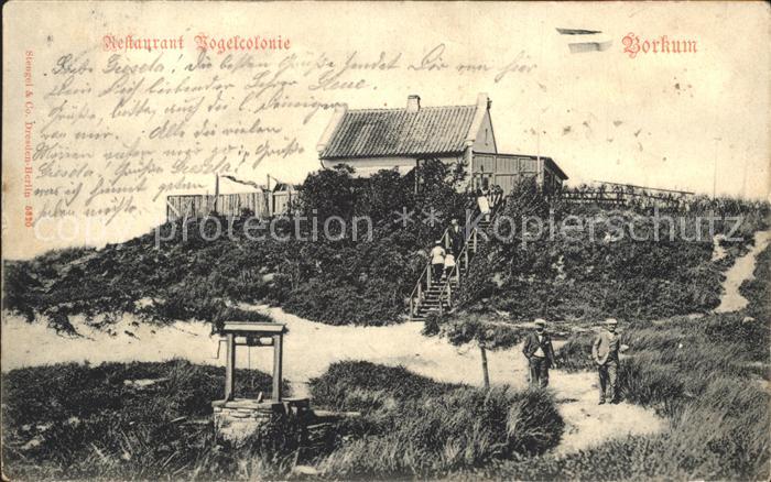 Borkum Restaurant Vogelkolonie