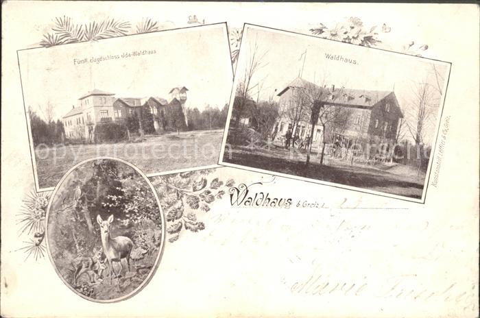 Waldhaus Greiz Fuerstliches Jagdschloss