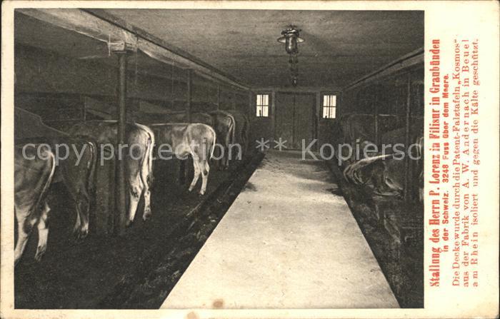 Filisur Stallung Herr Lorenz