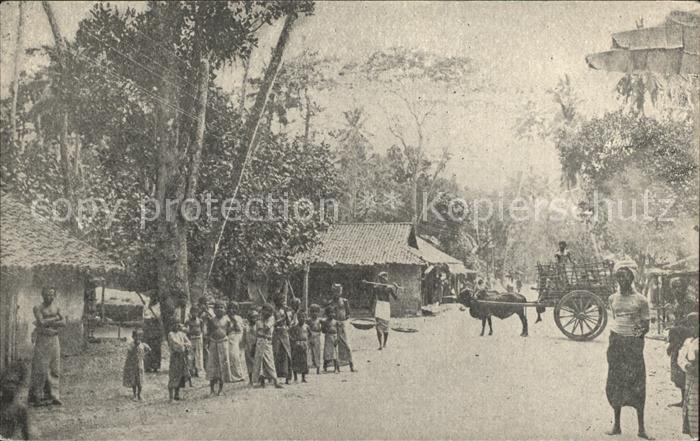 Colombo Ceylon Sri Lanka Strassenszene