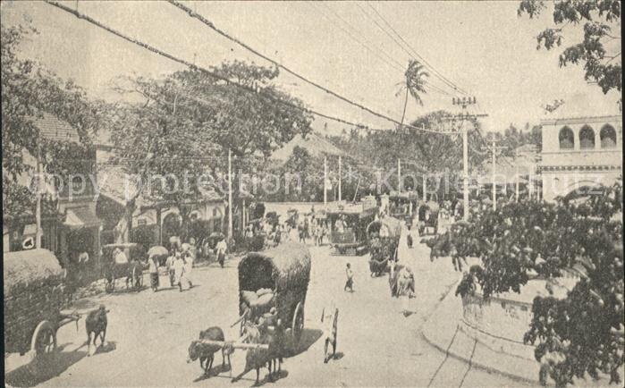 Colombo Ceylon Sri Lanka Psttah Markt