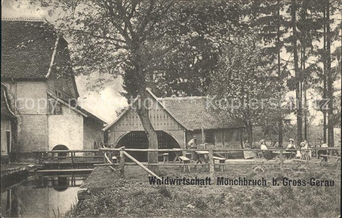 Gross-Gerau Waldwirtschaft Moenchbruch