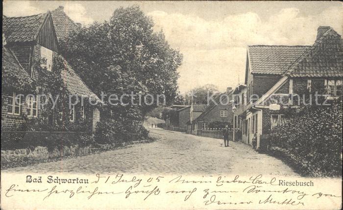 Bad Schwartau Riesebusch