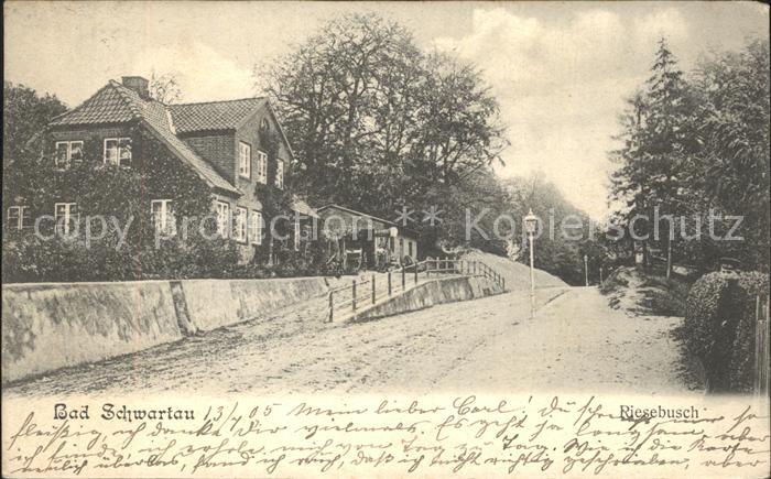 Bad Schwartau Riesebusch