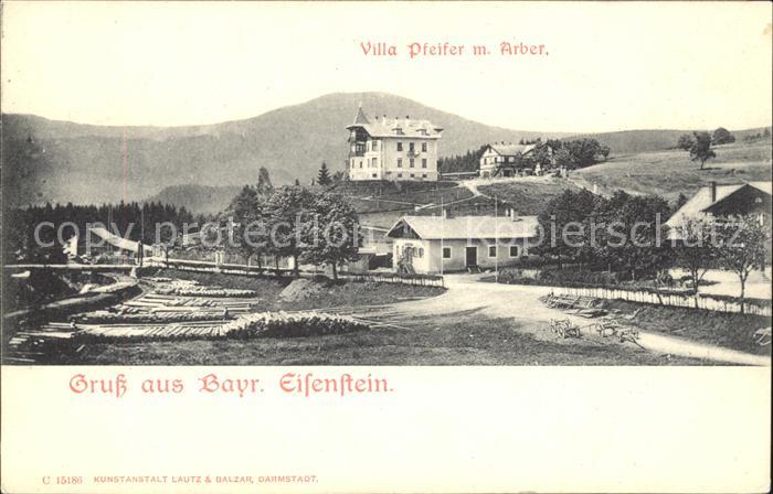 Bayrisch Eisenstein Villa Pfeifer mit Arber
