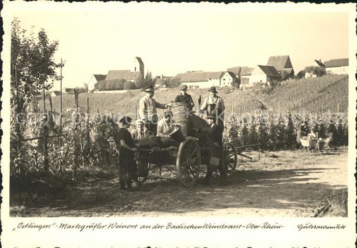 oetlingen Weil Rhein Weinlese