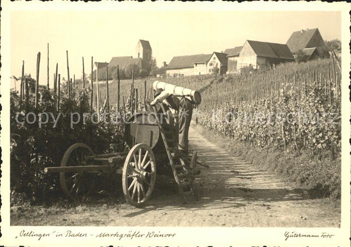 oetlingen Weil Rhein Weinlese