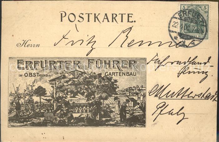 Erfurt Erfurter Fuehrer im Obst- und Gartenbau