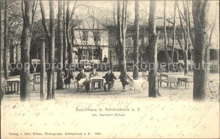Schoenebeck Elbe Buschhaus