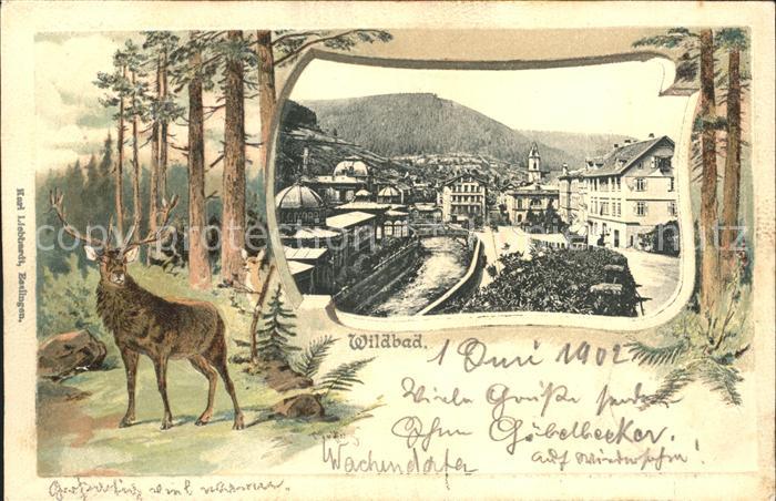 Wildbad Schwarzwald Stadt Hirsch