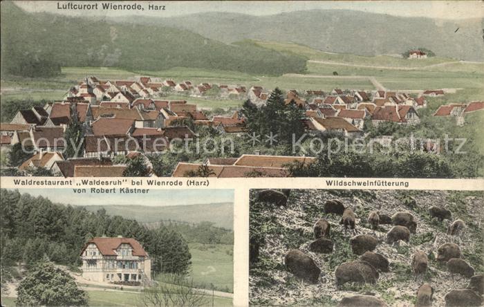 Wienrode Waldrestaurant Waldesruh Wildschweinfuetterung