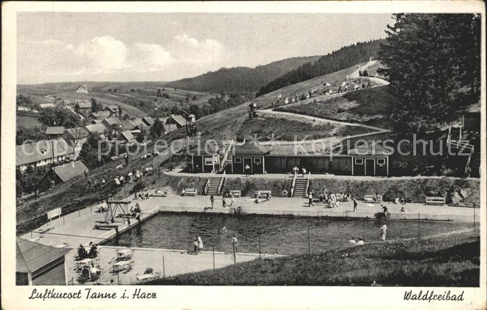 Tanne Harz Waldfreibad