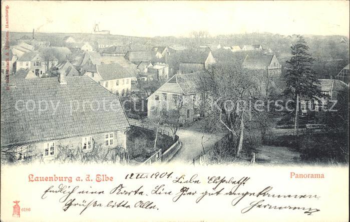 Lauenburg Elbe Panorama
