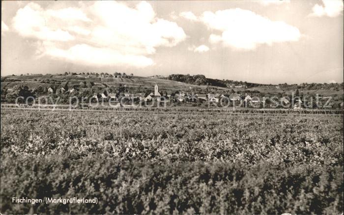 Fischingen Baden Stadtansicht