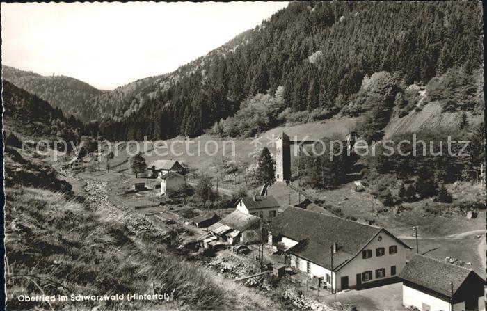 Oberried Breisgau Dorf Wald