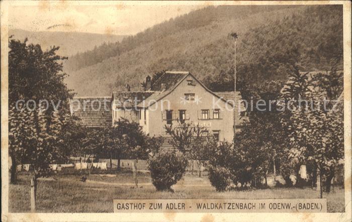 Waldkatzenbach Gasthof Zum Adler