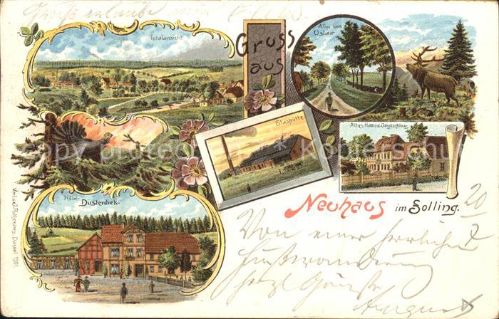 Neuhaus Solling Totalansicht Glashuette Altes Jagdschloss