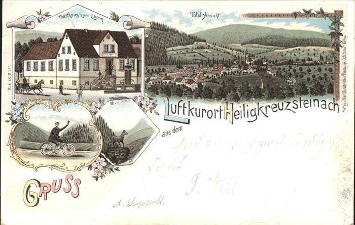 Heiligkreuzsteinach Gasthaus zum Lamm Totalansicht
