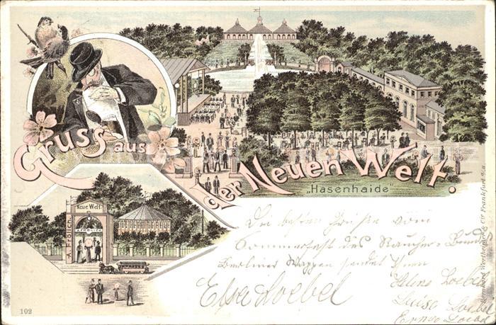 Hasenhaide Berlin Die neue Welt