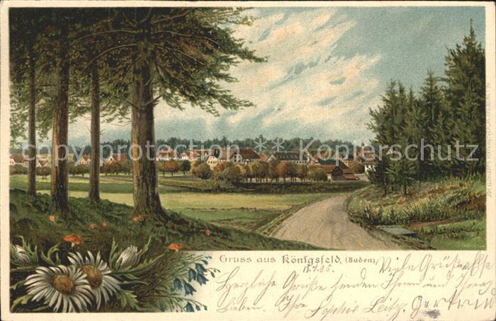 Koenigsfeld Schwarzwald Stadtansicht